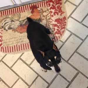 Meet your Posher, Deborah